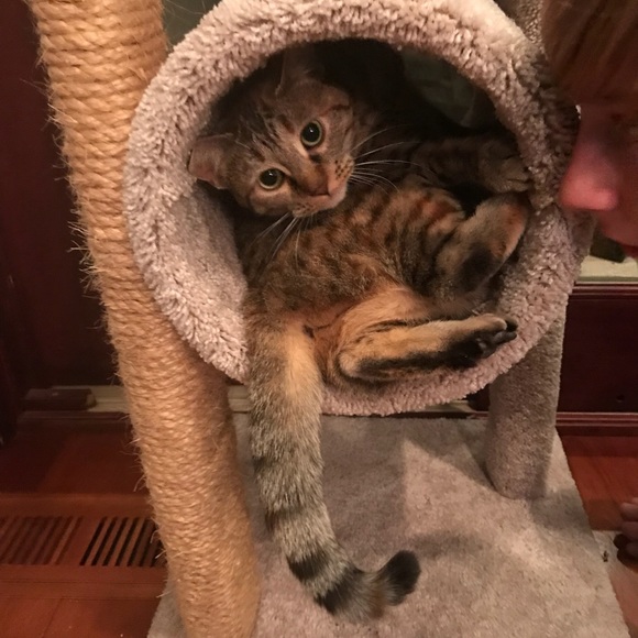 Meet your Posher, Melissa - Picture 1 of 1